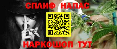 прущие грибы Абинск
